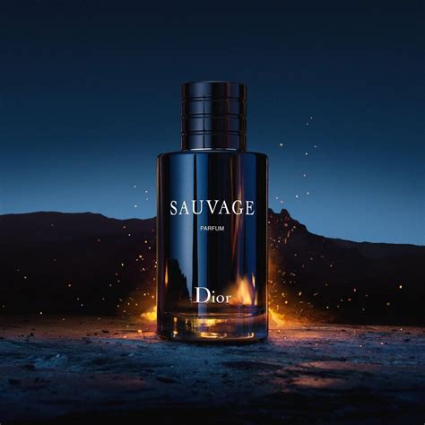 dior sauvage edp 200|dior sauvage edp vs elixir.